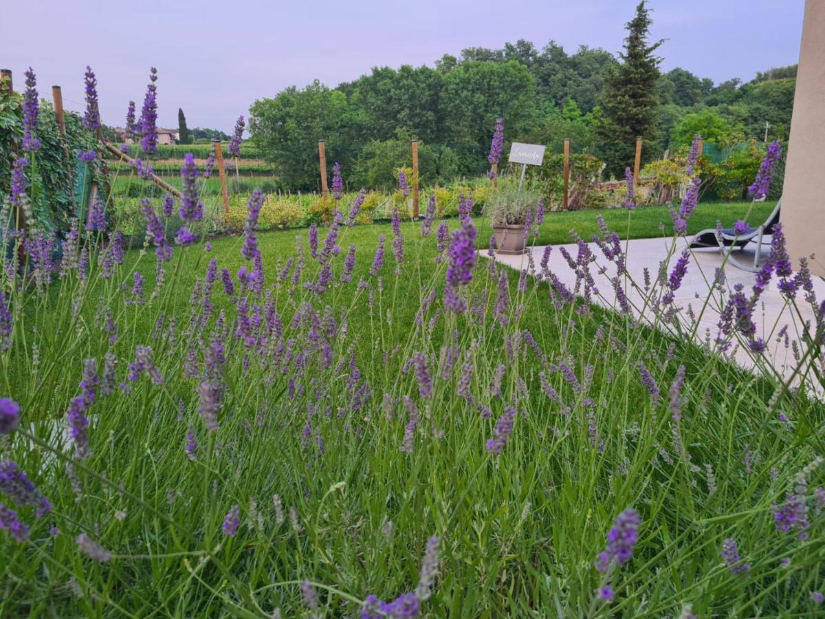Residence Le Aromatiche Cavaion Veronese Kültér fotó